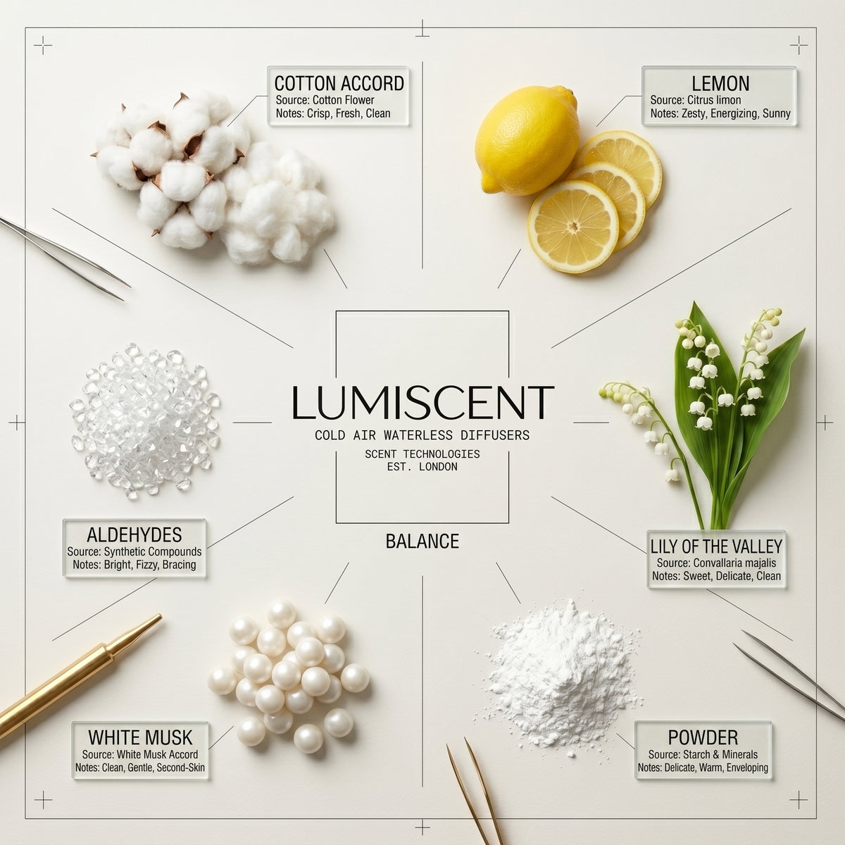 No. 81 Balance waterless diffuser oil by Lumiscent