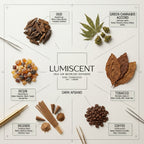 No. 61 Dark Afgano waterless diffuser oil by Lumiscent