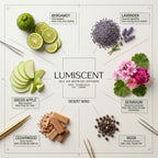 No. 85 Desert Wind waterless diffuser oil by Lumiscent