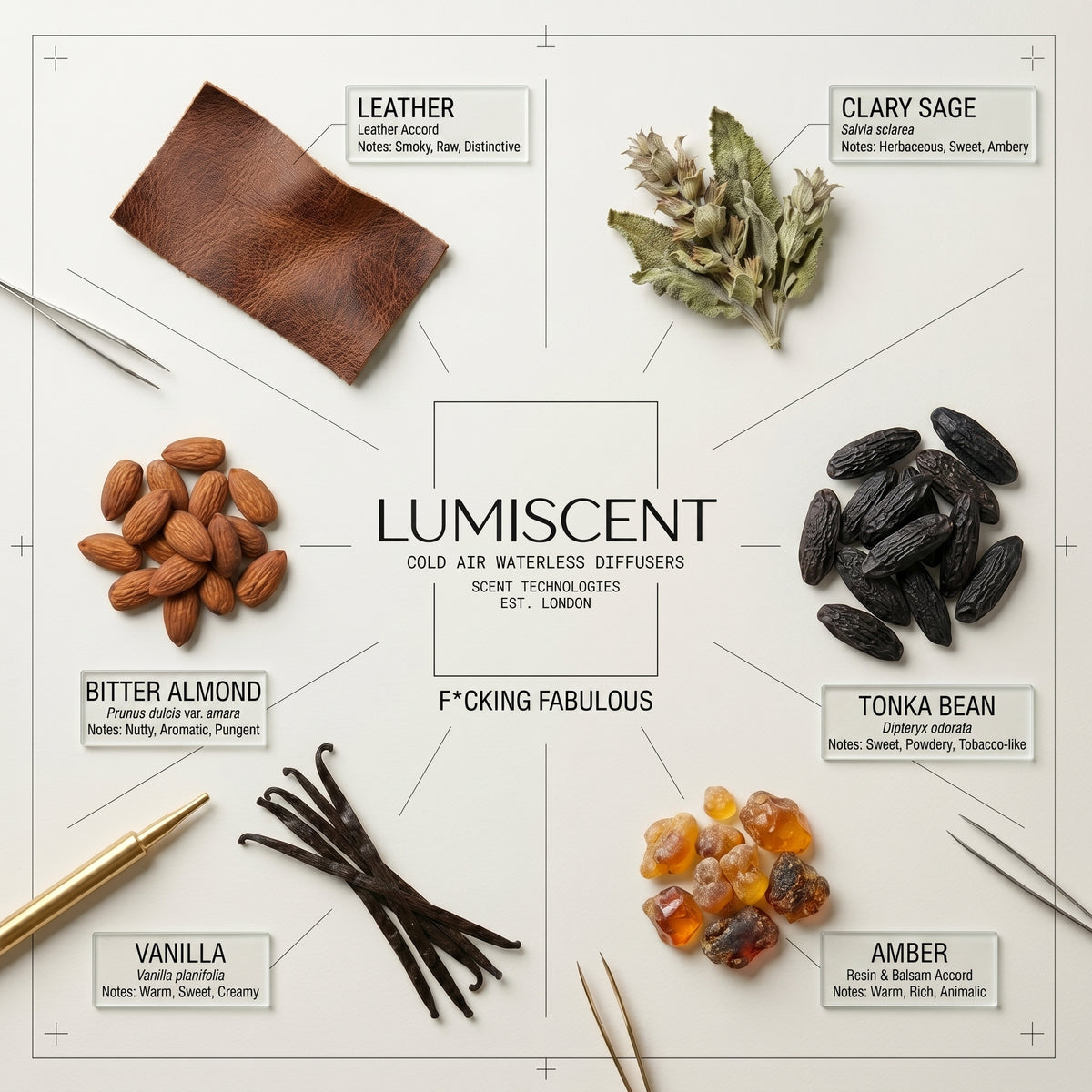 No. 38 Fcking Fabulous waterless diffuser oil by Lumiscent