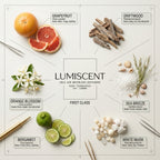 No. 13 First Class waterless diffuser oil by Lumiscent