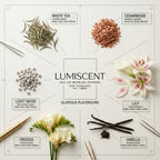 No. 04 Glorious Playground waterless diffuser oil by Lumiscent