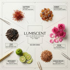 No. 09 Golden Sands waterless diffuser oil by Lumiscent