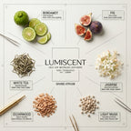 No. 02 Grand Atrium waterless diffuser oil by Lumiscent
