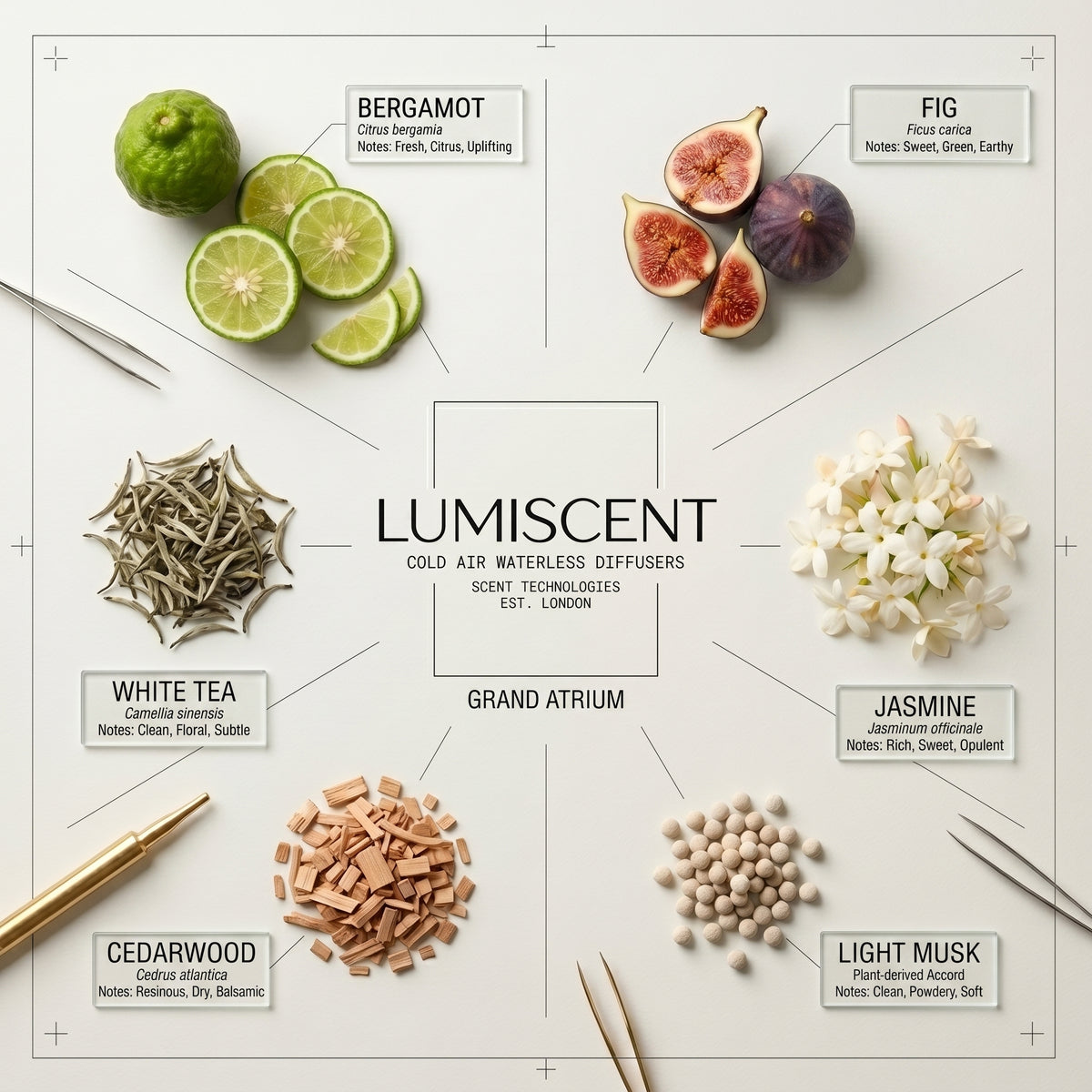 No. 02 Grand Atrium waterless diffuser oil by Lumiscent