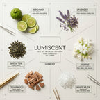 No. 70 Harmony waterless diffuser oil by Lumiscent