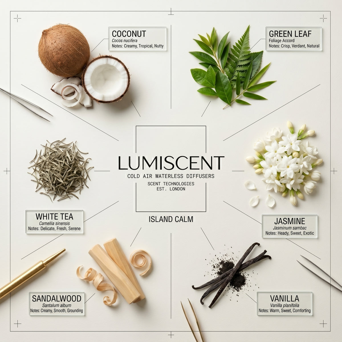 No. 88 Island Calm waterless diffuser oil by Lumiscent