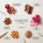No. 31 Liquid Gold waterless diffuser oil by Lumiscent