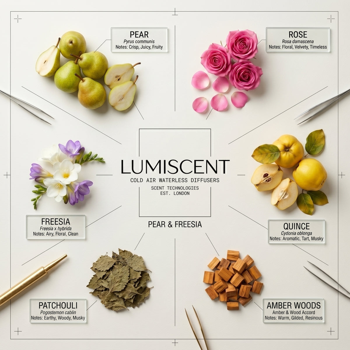 No. 27 Pear & Freesia waterless diffuser oil by Lumiscent
