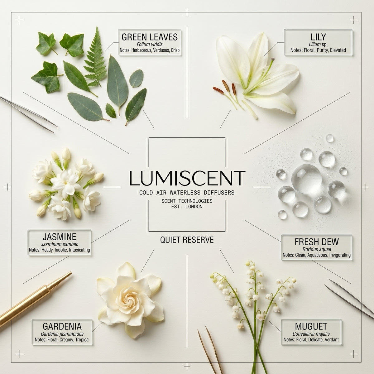 No. 11 Quiet Reserve waterless diffuser oil by Lumiscent