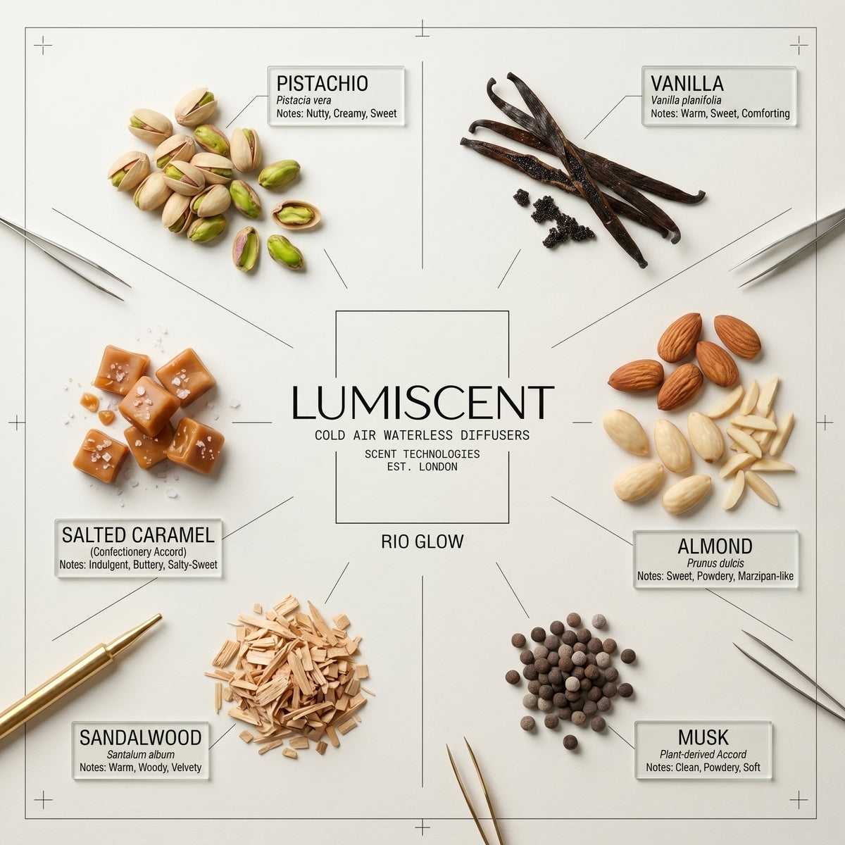 No. 87 Rio Glow waterless diffuser oil by Lumiscent