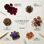 No. 36 Rose Noir waterless diffuser oil by Lumiscent