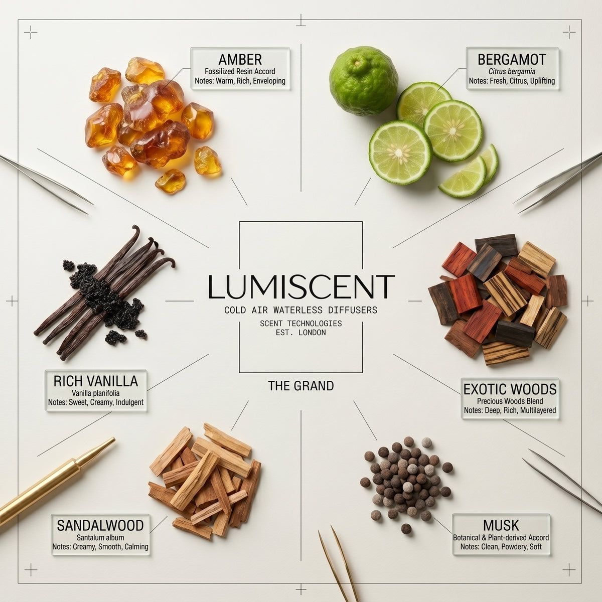 No. 24 The Grand waterless diffuser oil by Lumiscent