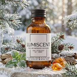 No. 103 Winter Forest
